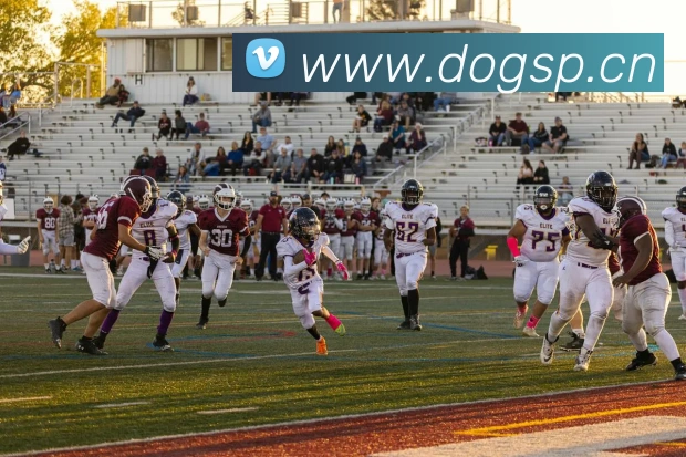 bsprot体育官网登录APP 封面图